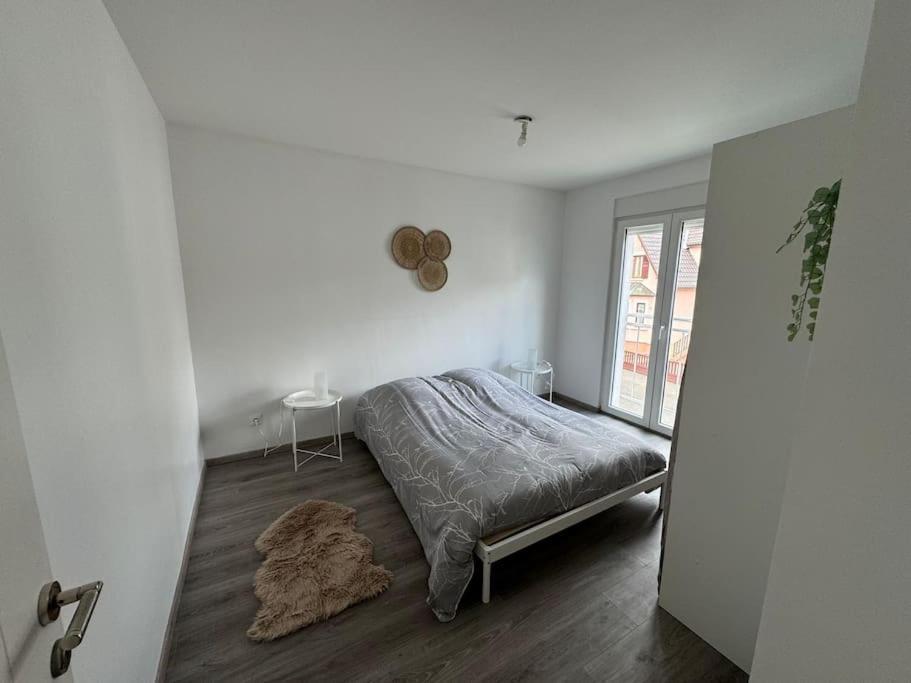 Instant Cosy Apartment Strasbourg